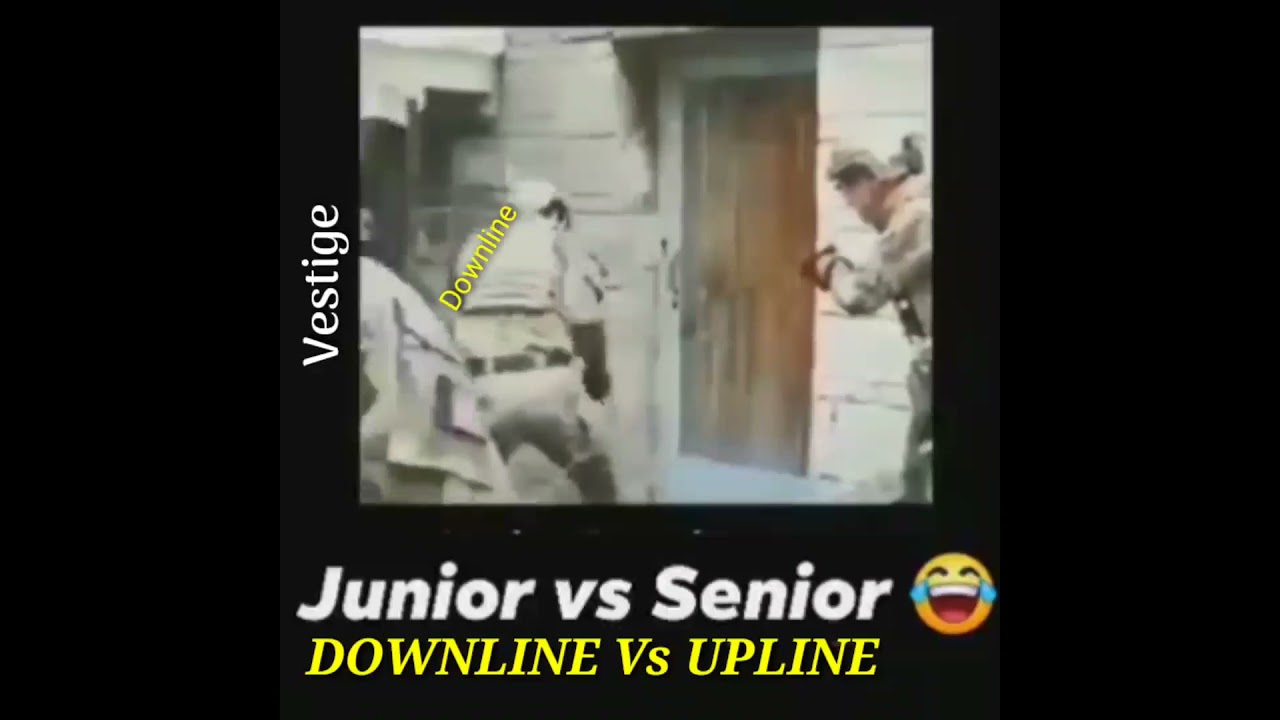 DOWNLINE Vs UPLINE || VESTIGE
