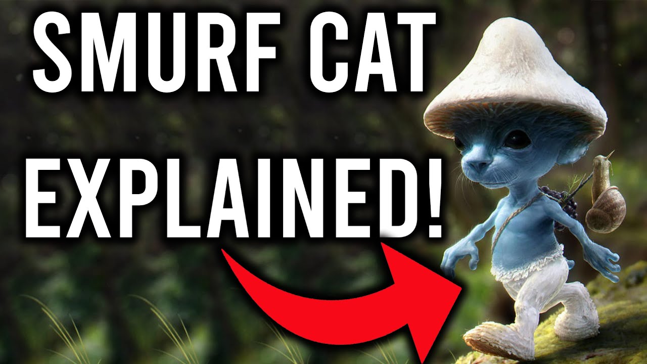 Cat Smurf 