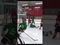 buried it - Hey Stripes! The Micd Up GoPro Hockey Refcam