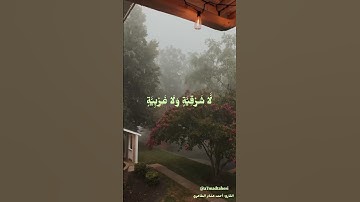 سورة النور (٣٥) تراويح ليلة ٧ رمضان ١٤٤٦هـ  مسجد عائشة المحري