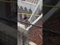 पड़ोस के बाथरू में पार्ट-1 ||🐒|| #trending #yts #funny #viral #bandar #money #memes #viral