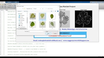 Vegetable Leaf Classification Using Deep Learning | Vegetable Leaf Classification Using Matlab Code