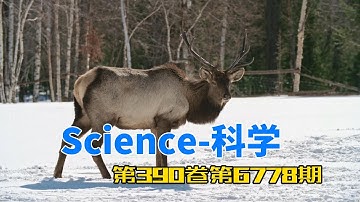 科学杂志-2025年第五十期