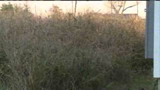 Community Upset Over City's Approach To Blighted Properties