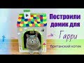 ПОСТРОИЛИ ДОМ ИЗ КОРОБКИ для КОТА Гарри / British cat