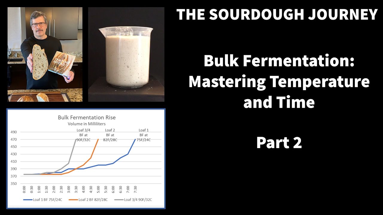 Fermentation Temperature Chart