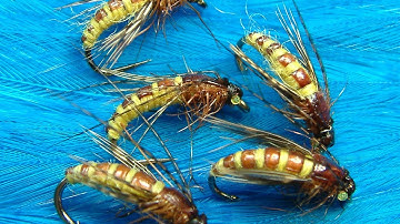 Tying the McPhail Caddis Pupa by Davie McPhail.