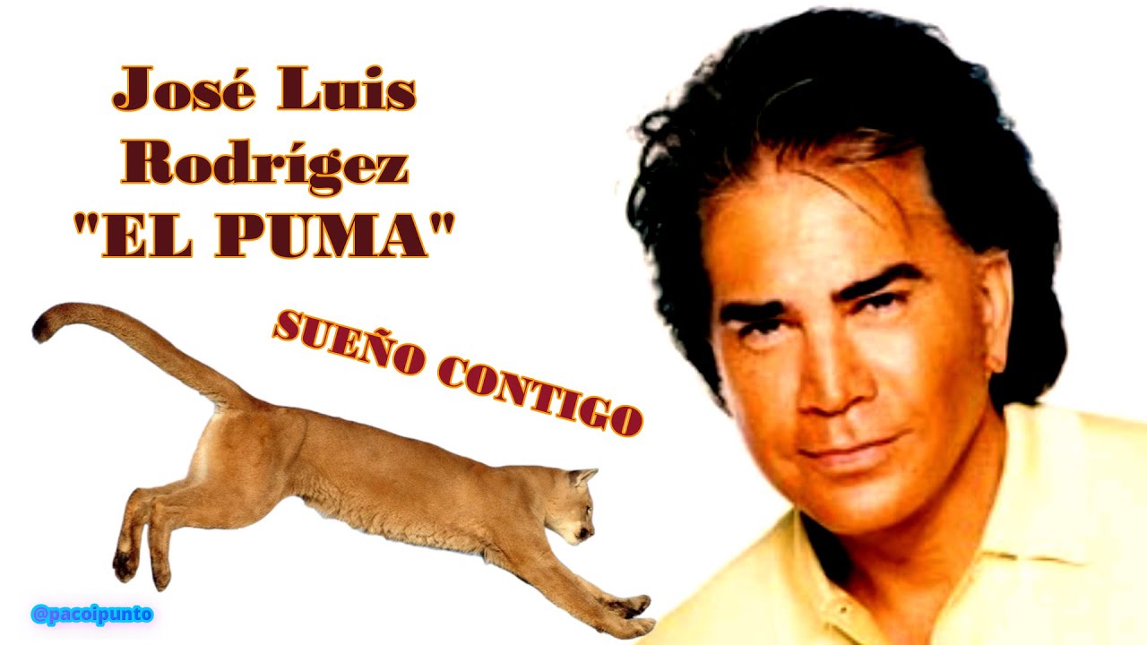 el puma sueño contigo