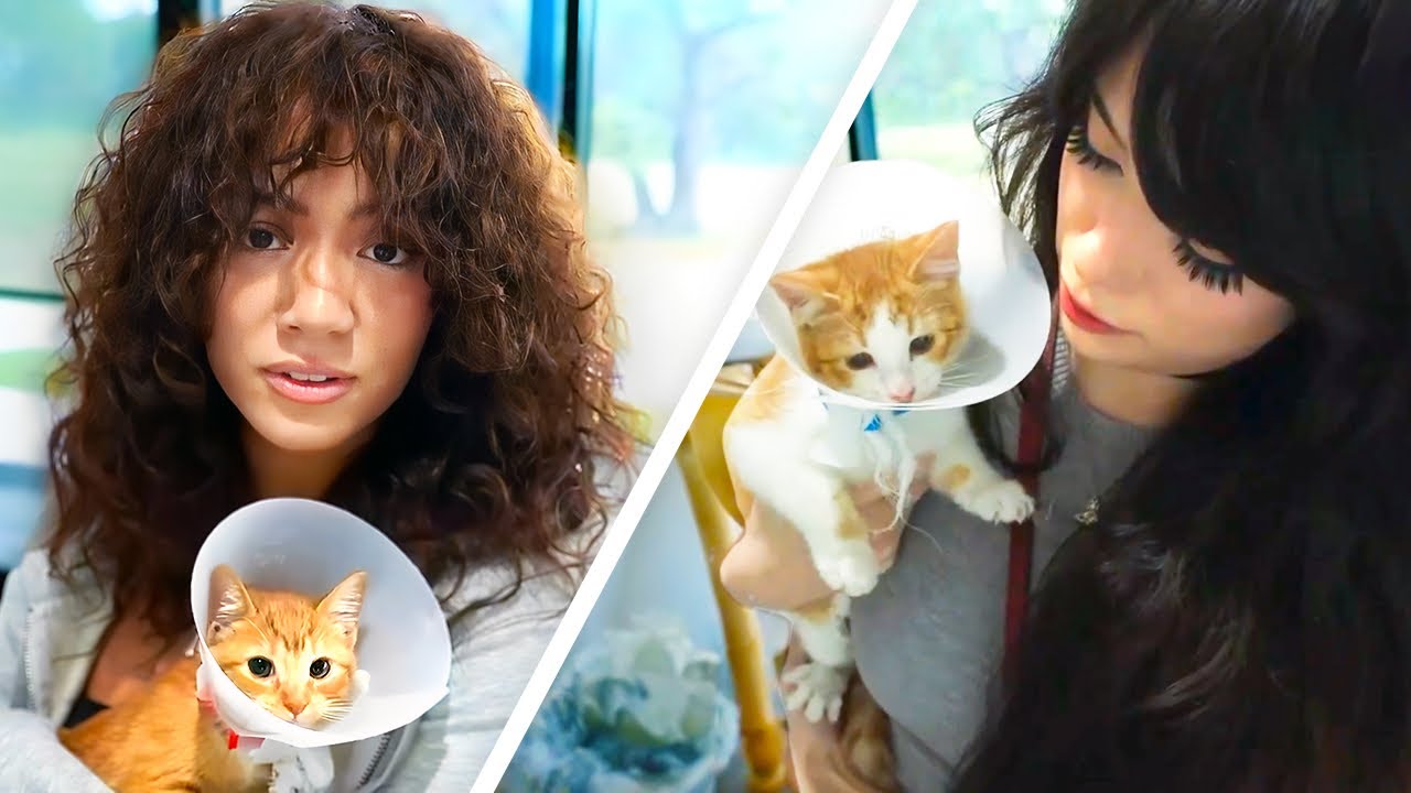 Adopting Kittens w/ Emiru & Bonnie