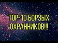 ТОП - 10 САМЫХ УХУ ЕВШИХ И БОРЗЫХ ОХРАННИКОВ 2020.