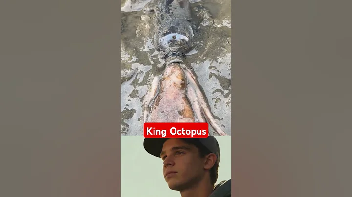 Octopus in the bottle #edit #shorts