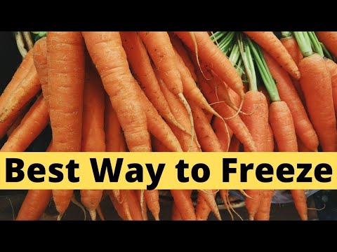वीडियो: गाजर को फ्रीज कैसे करें: 12 कदम (चित्रों के साथ)