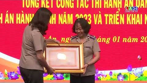 Tổng kết công tác thi hành án dân sự, hành chính năm 2023 I LONG AN TV