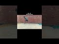 Day-54 self improvement🥊#martialartstraining#selfdifence#video#fullpunch#boxing#selfdefin#