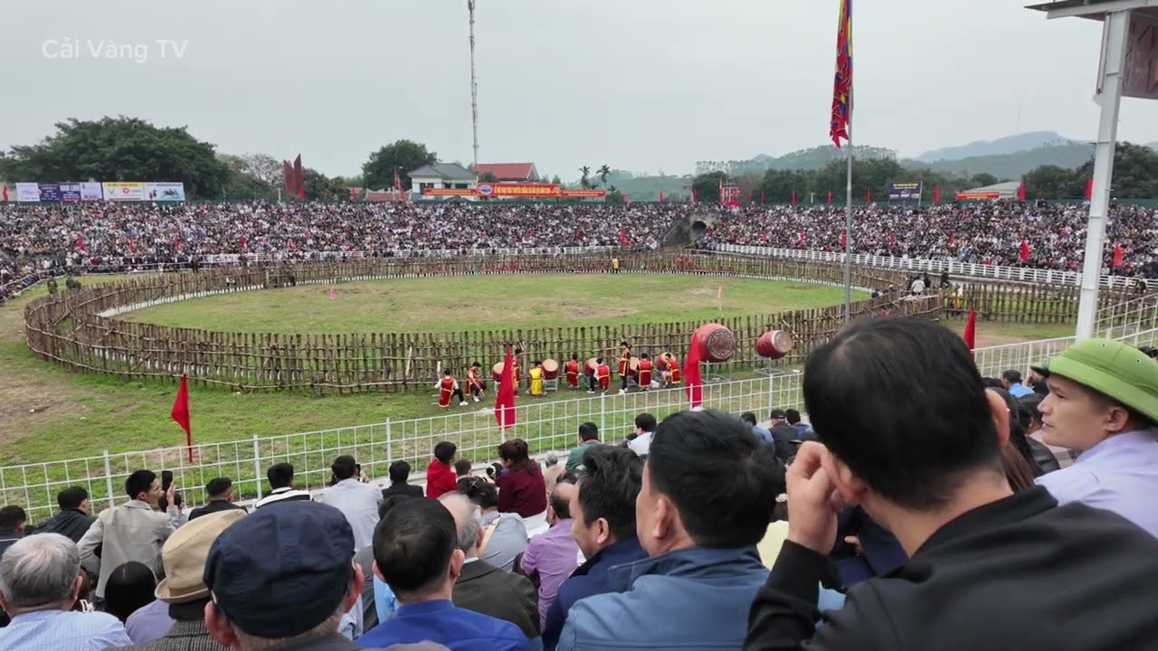 Lễ khai mạc Chọi Trâu Xã Hải Lựu - Phú Thọ 2026, và các trận đấu vòng loại! 