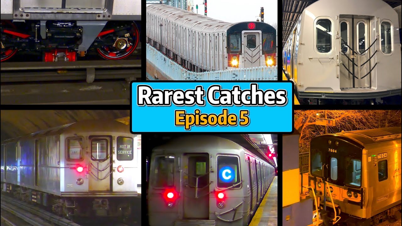 ⁴ᴷ⁶⁰ Dj Hammers' Rarest Catches Compilation - Episode 5