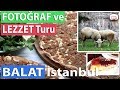 BALAT İSTANBUL FOTOĞRAF VE LEZZET TURU | ATÖLYE KAFASI HANGAR | FORNO BALAT VE CAFE NAFTALİN