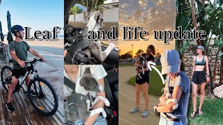 4 month old whippet puppy & life update ✨ life with a whippet puppy, coming back from a long trip