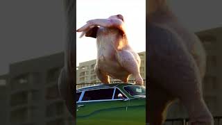 Twurkey Roll! Who do you know that does this?!? #classiccars #dancechallenge #Twurkey
This may or may not be a challenge based on safety Twurkey Roll! Who do you know that does this?!? #classiccars #dancechallenge #Twurkey