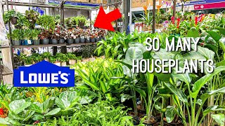 COME PLANT SHOPPING WITH ME AT LOWES!! 2021 BIG BOX STORE HOUSEPLANT SHOPPING