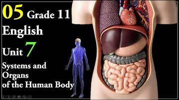 05 Grade 11 English Unit 7 Systems and Organs of the Human Body, New Curriculum
