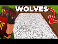 Breeding 1,029 Wolves to Kill One Minecraft Player...