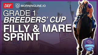 Grade 1 Breeders' Cup Filly & Mare Sprint | November 1, 2025 screenshot 5