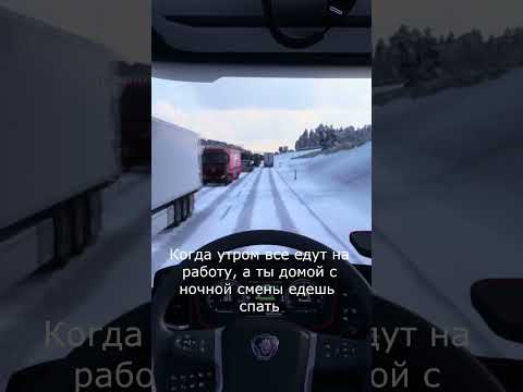 Утром все едут на работу, а ты домой #ets2 #ets2mp #eurotrucksimulator2 #truckersmp #ets2mod #shorts