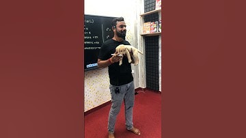 Cute Puppy in LIVE CLASS!! 😂😅  Aditya Ranjan Sir Maths #shorts  #dog #puppy #viral