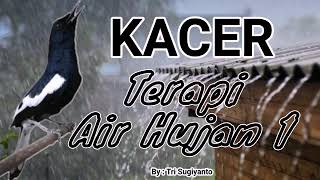 KACER Dengan terapi suara air hujan untuk memancing kacer bisu / stress