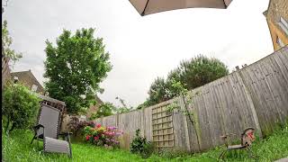 Relaxing rain sounds and natural ambiance from a garden in London, UK