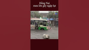 Đồng Nai: Mưa lớn gây ngập lụt #shorts