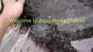 Rc Test - Aqua Home Sieuthithuysinh.com