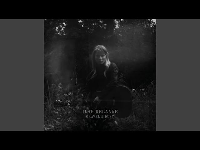 Ilse DeLange - Went for a while