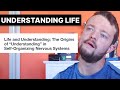 Organized understanding in life