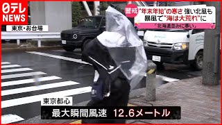 【寒さ】冷たい雨と強い風  関東は年末年始並みの寒さ