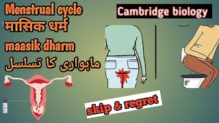 Menstrual cycle and hormone Cambridge biology olevels igcse in Urdu hindi also for mdcat neet