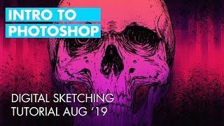 Intro to Photoshop Skull Sketching Tutorial