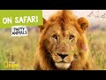 Safari Animal Knowledge Assessment