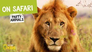 On Safari | Party Animals