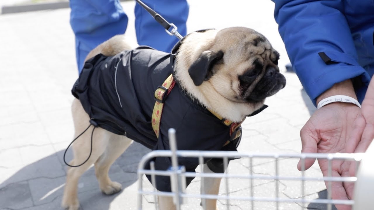 La FBB à la frontière ukrainienne : 2ème partie, l'action auprès des réfugiés