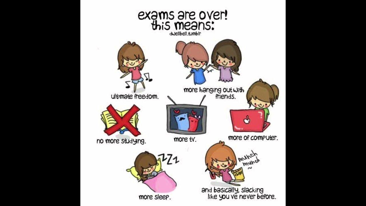 Happy hunger games and may the odds be ever in your favor. Exams are. Its all over. мем кот ты справишься. Exams are over.