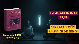 Nancy Rosanoff – Önsezi 20 | Sizi Deli Eden İnsanlara Karşı Cam Duvar Tekniğini Kullanın! | 6. Hafta