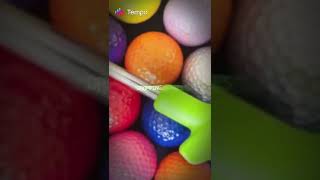 IMG 0368