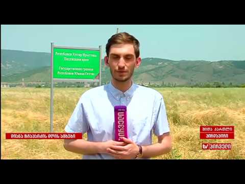 ჩართვა სოფელ ბერშუეთიდან.  დიანა ტრაპაიძის „დღის ამბები“