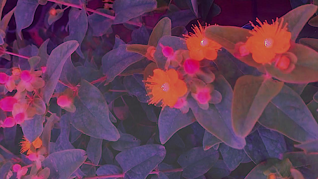 AWEYK - IDGAS | Music Video