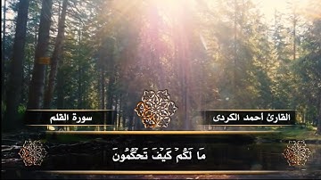 سورة القلم بصوت القارئ احمد الكردي