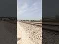 Beautiful Train Bridges. High Speed Train Crossing Videos #train #railway #viralvideo #speedrail