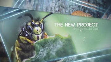 Parallax Opener After Effects Templates