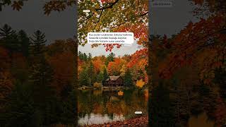 Sessizliğin İçindeki Hüzün Üçükan